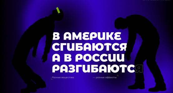 Разные векторы воздействия: что происходит с мышцами и мозгом при употреблении опиоидов и стимуляторов